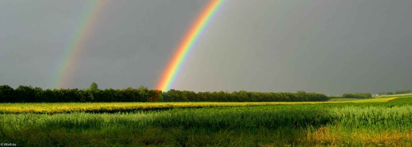 Regenbogen